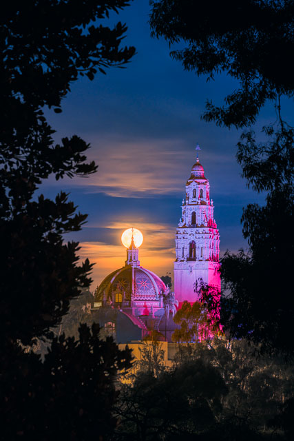 The full moon rising above the California Tower and Dome in Balboa Park. The scene is viewed through an opening in the trees.