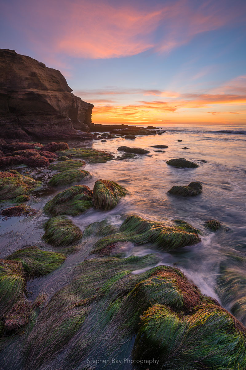 Rocks covered in eel grass lead away along the coastline at Sunset Cliffs.